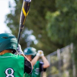 DISCONTINUED 2018 Easton Ghost X Composite Youth 2018+ Baseball Bat, -5 Drop, 2-5/8 In Barrel, YBB18GX5 -Bats Elegant shop Screenshot 2018 1 20 Ghost X 5 Composite Bat Easton3 15183.1537986063